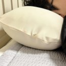 백업바디