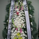 금호장의사 - 서천군 사곡길 4 | 금호장의사