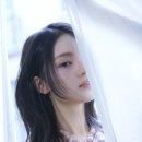 세르비아컴퍼니