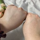 은은한 선 네이버블로그
