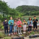 홍지마을 이미지