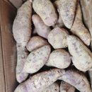 꿀이농장 이미지