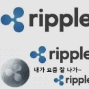 (JED)비전 티스토리