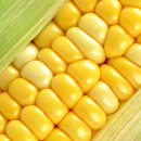 테이크아웃엠 이미지