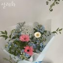대흥동꽃집 설레화 가격 위치 영업시간