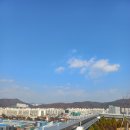 비즈플랫폼