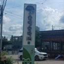 숨다 | 물왕저수지 카페 < 숲에 숨다 > 내돈내산 후기