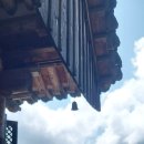 삼충단 이미지