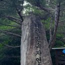 국립낙안민속자연휴양림 이미지