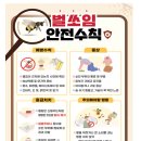 풀을 예초기로 깍던 중 땅벌집을 건드려 벌에 쏘여 사망한 경우 재해사망보험금을 받을 수 있습니까? 이미지