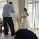 꽃보라개 | 강동사진관 꽃보라스튜디오 만삭사진 후기