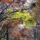 다은스포츠 | 코오롱스포츠 에그라이트 겨울 등산 준비물 소수성 알파다운 경량패딩 후기