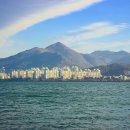 을숙도 철새공원 이미지