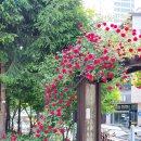 아라어린이공원 이미지