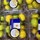 도토리 하우스 이미지