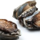 전복이야기 이미지