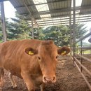 신동목장 이미지