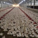 중열농장 이미지