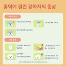 진리 동물병원 이미지