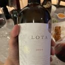 로타(LOTA) 이미지