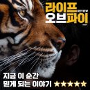 속전속평 | <라이프 오브 파이> 리뷰, 지금 이 순간 믿게 되는 이야기! (with 박정민 회차, 파노라마석)