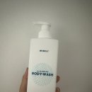 와이즐리 프레쉬 올인원 바디워시 포맨 후기