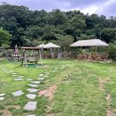 노란우체통 이미지