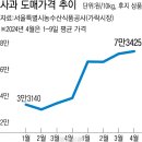 (주)한국농업농촌센터 이미지