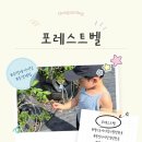 율은농장 | 경기도 아이랑 갈만한 곳_“포레스트벨” 후기, 블루베리수확체험, 동물먹이체험, 물놀이, 모래놀이