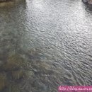 함백산빌 이미지