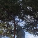 춘천 효자문 이미지