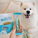 매일덴탈 | 기호성좋은 강아지 치석제거껌 추천 굿포펫 이즈바이트 버블 덴탈껌 후기