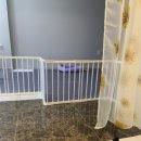 남다른 금댕이 이미지