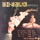 세레나데 Daum카페