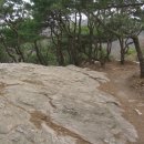 위전3리 티스토리