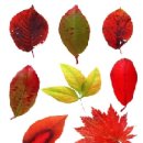 31140-9-21-11 이미지