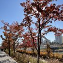 랑데자뷰 하남미사점 이미지