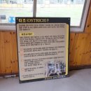 우농축산 네이버블로그