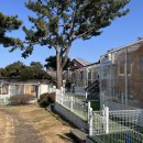 멍스플레이 이미지