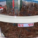 수협바다식당 이미지