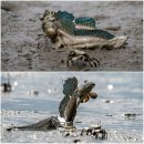 하의중학교 이미지