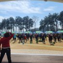 웅천친수공원 이미지