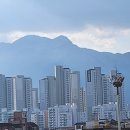 열린행정사 이미지