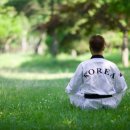 정립(태권도) 이미지