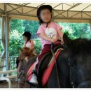 보람어린이집 이미지