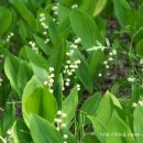 구릉공원 이미지