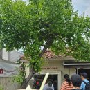 예루목장 이미지