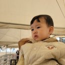 시우목장 | 아이와 가기 좋은 리조트 : 증평 벨포레 동물농장 목장체험후기