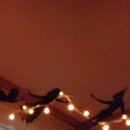 팅커벨과 피터맨 이미지