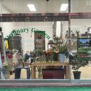 오디너리 가든 이미지